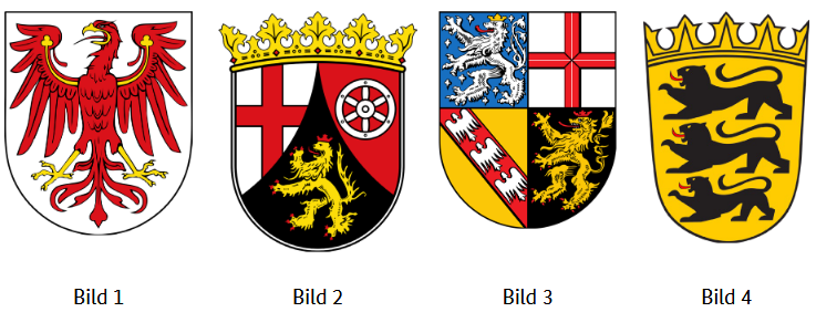 Frage 331 Bild