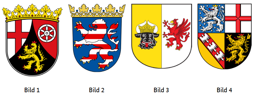 Frage 411 Bild